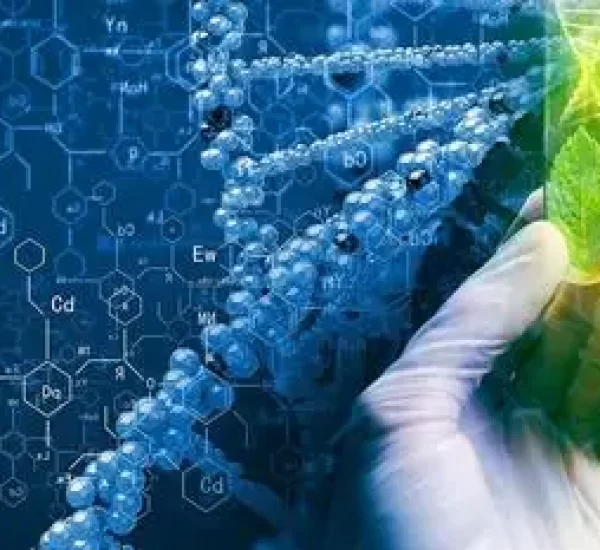 The Best Biotechnology Translation Services (2025 Updated)