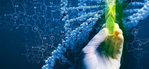 Biotechnology Translation Services