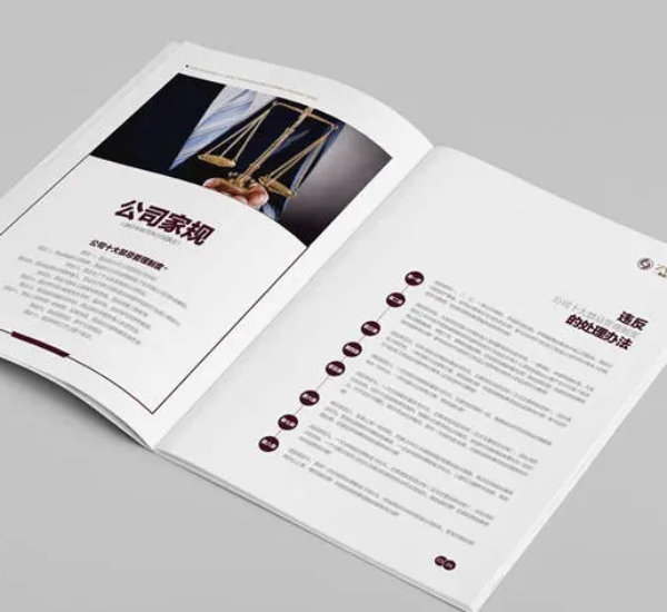 The Definitive Guide to Chinese User Manual Translation in 2025