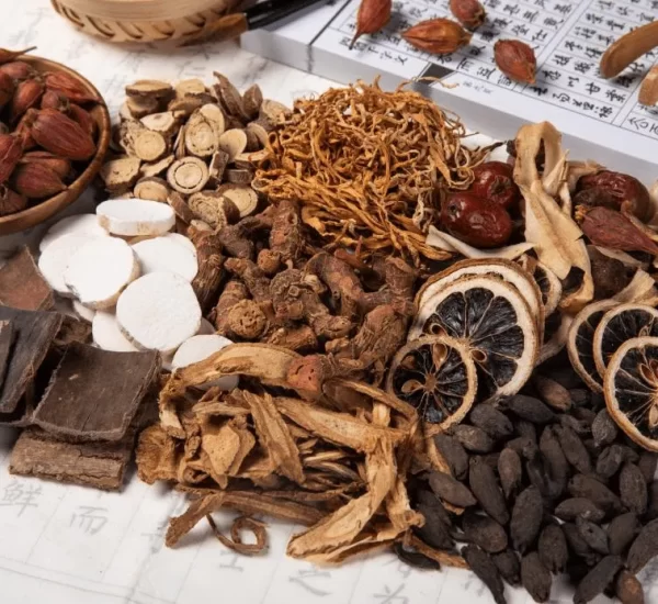 Top 4 Challenging Concepts in Traditional Chinese Medicine Translation
