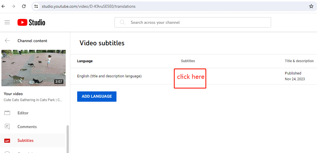 Add Chinese Subtitles to YouTube Videos - Step 2