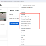 Add Chinese subtitles and translations to English YouTube video
