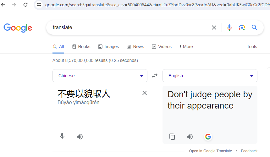Google Translate from Chinese to English